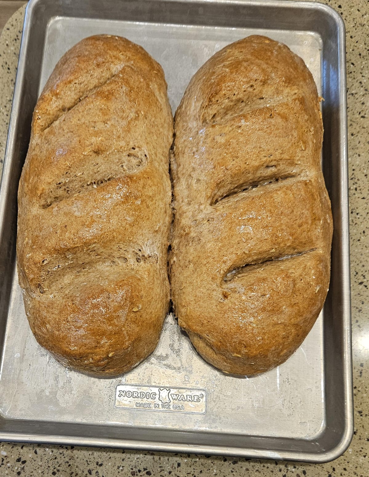 Tracy's Cinchy Homemade Wheat & Oats Bread Recipe