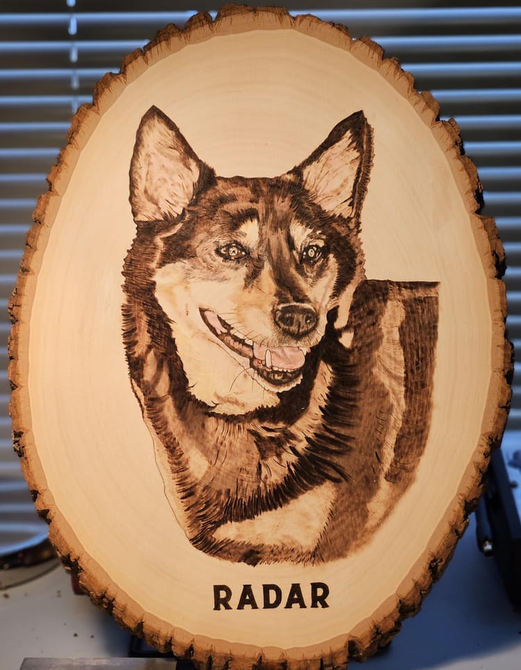 Radar - Service Dog Memorial